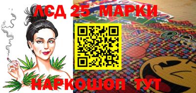 стаф Можга