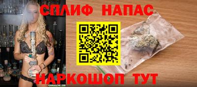 стаф Можга