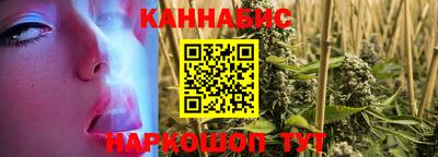 стаф Можга