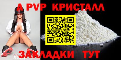 стаф Можга