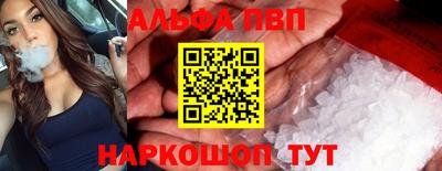 стаф Можга