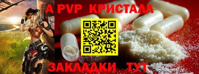 стаф Можга