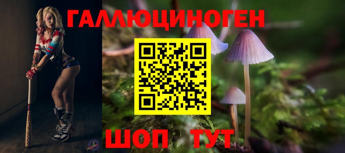 Псилоцибиновые грибы MAGIC MUSHROOMS  Псилоцибиновые грибы Psilocybe  Анжеро-Судженск  купить наркотик  Вход с VPN 